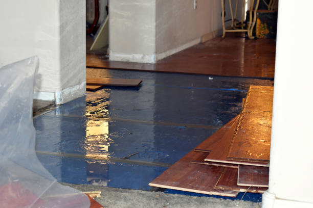 Professional Burst Pipe Cleanup technician working in Gates, OR